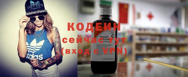 дмт Лабытнанги