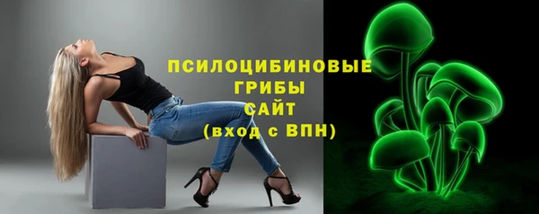 амф Калининец