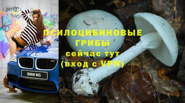 ешки Волгодонск