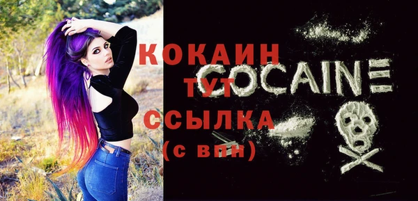 дмт Лабытнанги