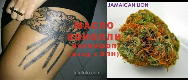дмт Лабытнанги