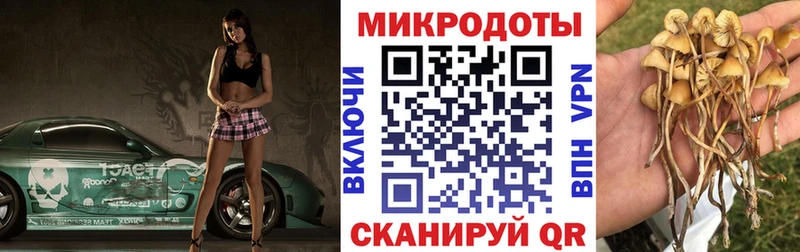 Галлюциногенные грибы Cubensis  Пойковский 