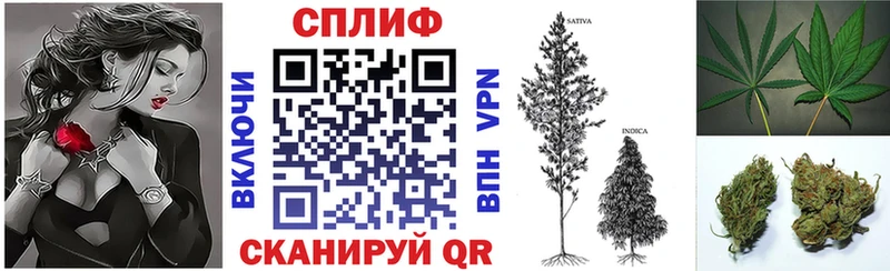 Бошки марихуана Bruce Banner  Пойковский 